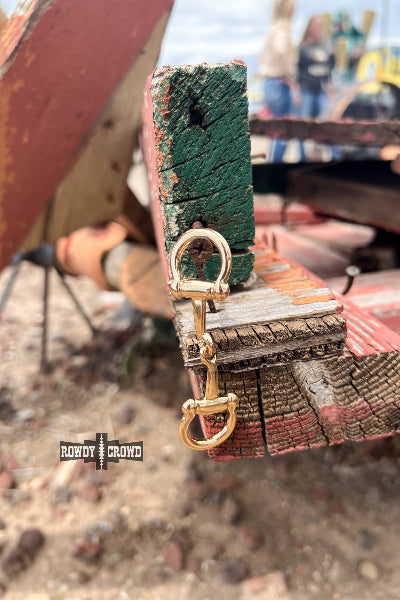 Gold dog collar with a clasp on a wooden surface, blurred background