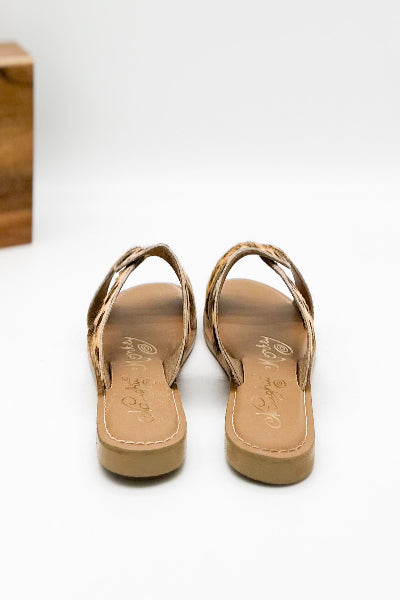 Pair of tan sandals on a white background