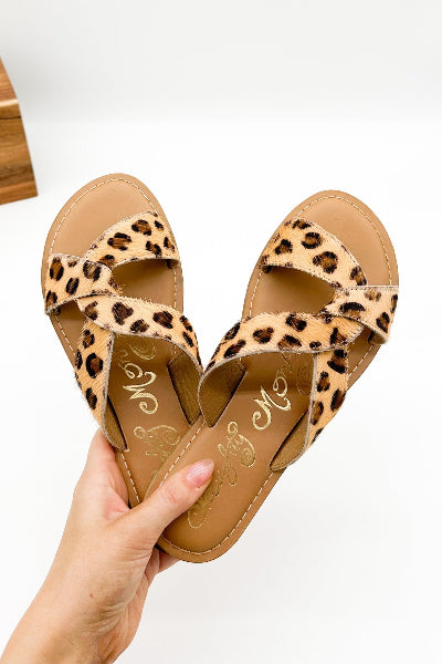 Pair of leopard print sandals held by a hand on a white background