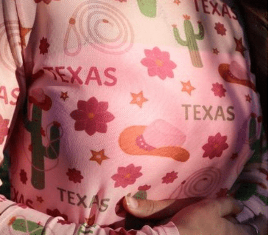 Pastel Texas Cactus Long Sleeve Mesh Top - Cowtown Bling N Things