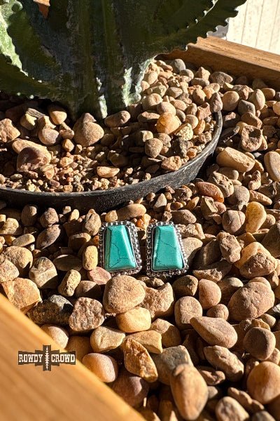 Rowdy Crowd Clothing Roam Wild Studs - Cowtown Bling N Things